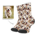Custom Pet Face Socks