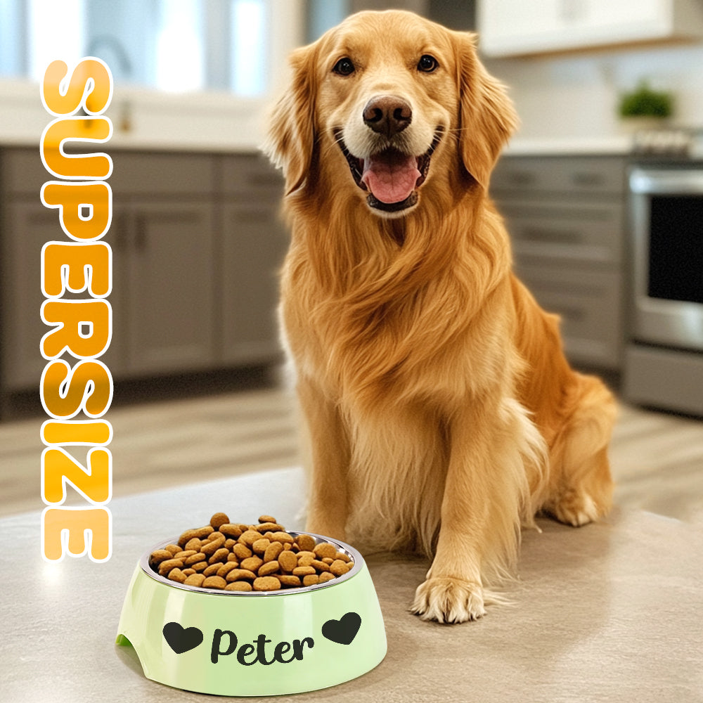 Personalized Stainless Steel Pet Bowl