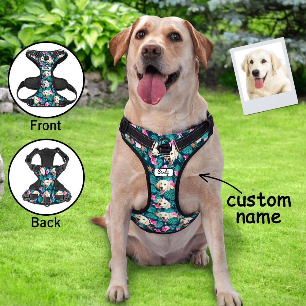 Hawaiian Style Dog Harness