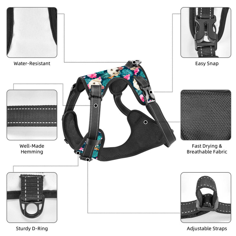 Hawaiian Style Dog Harness