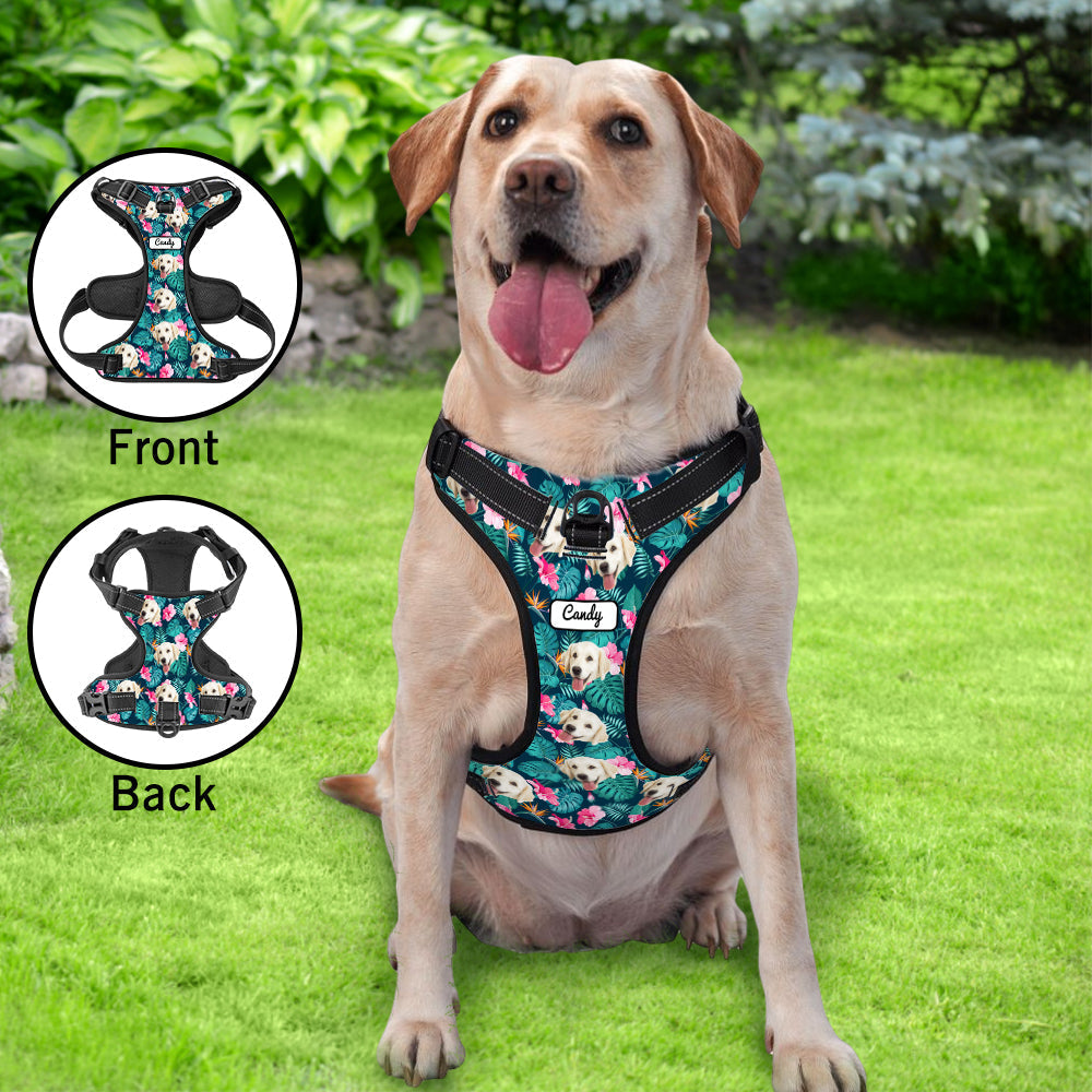 Hawaiian Style Dog Harness